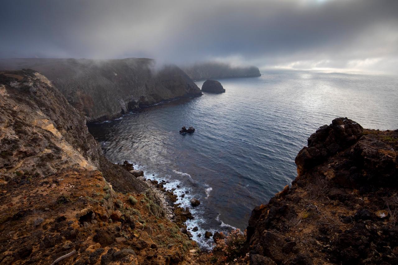 The Channel Islands by Land and Sea Nature and Wildlife Discovery